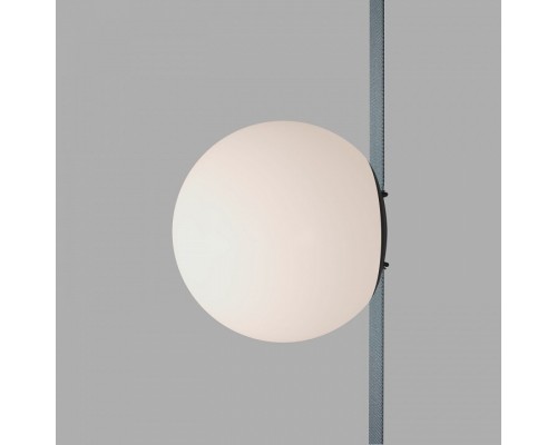 Накладной светильник Denkirs BELTY ORB DK5550-BK