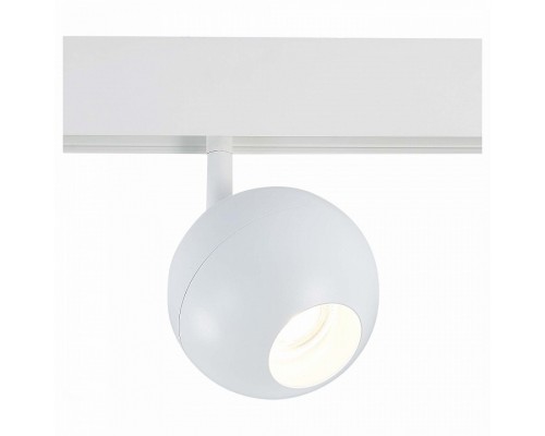 Светильник на штанге ST-Luce Bole 