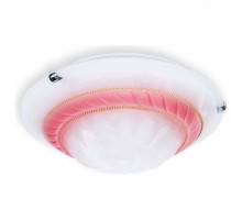 Накладной светильник TopLight Clare TL9101Y-02PK