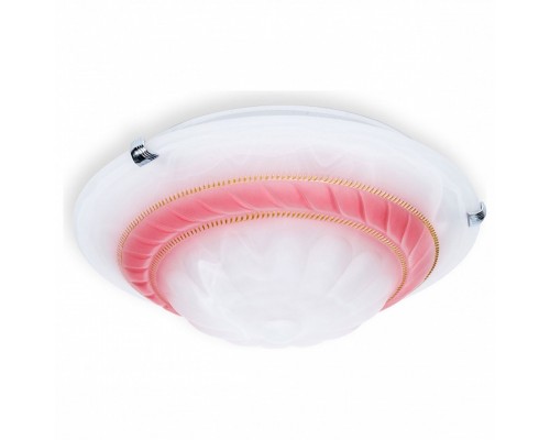 Накладной светильник TopLight Clare TL9101Y-02PK