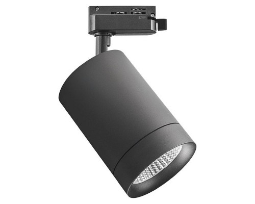 Светильник на штанге Lightstar Canno 303272 Светильник на штанге Lightstar Canno 303272