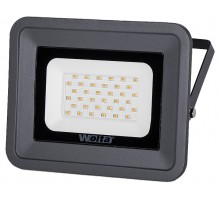 Настенно-потолочный прожектор Wolta  WFLY-30W/06