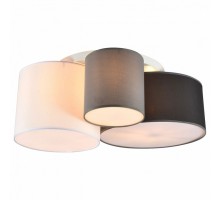 Потолочная люстра Lussole Oldham 