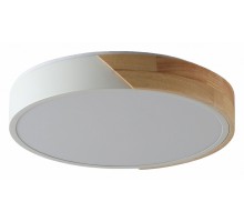 Накладной светильник Zortes Alberro ZRS.01289.48