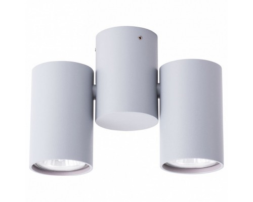 Спот Arte Lamp Gavroche A1511PL-2GY