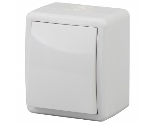 Выключатель одноклавишный Эра Эра Эксперт 11-1401-01