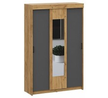 Шкаф-купе Вена