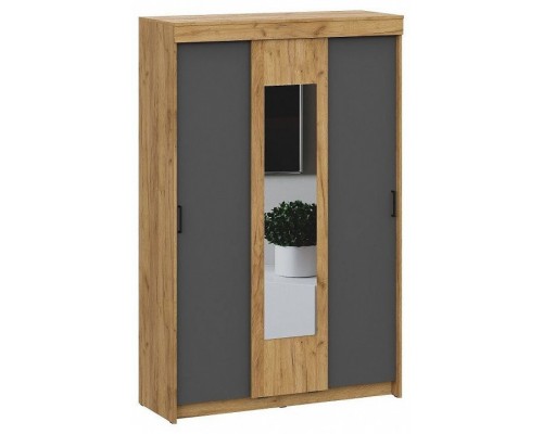 Шкаф-купе Вена