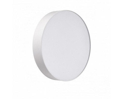 Накладной светильник Sonex BASICA 7779/DLN