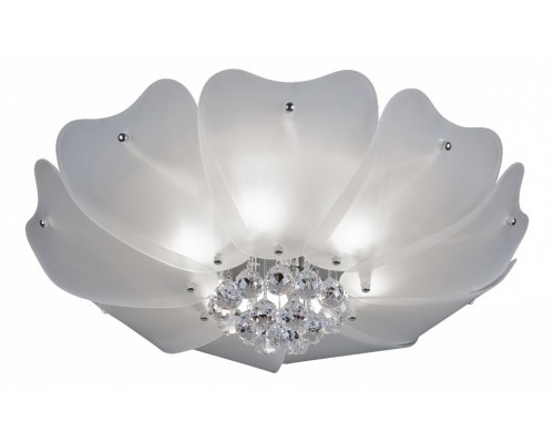 Накладной светильник Lightstar Lobo 804020 Накладной светильник Lightstar Lobo 804020