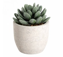 Растение в горшке Eglo Chitose 428011