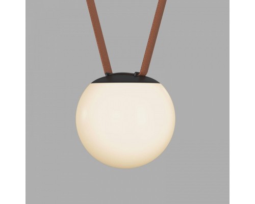 Накладной светильник Denkirs BELTY ORB DK5551-BK Накладной светильник Denkirs BELTY ORB DK5551-BK