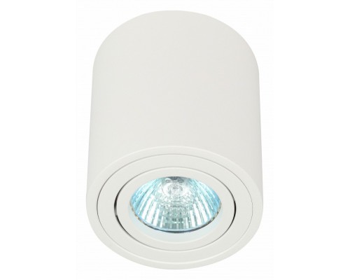 Накладной светильник Эра OL21 WH Б0054392