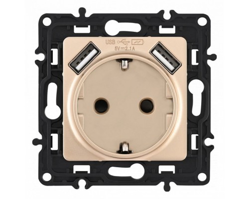 Розетка с заземлением и со шторкой и 2хUSB, без рамки Arte Milano am-217 217.47-1.shampan Розетка с заземлением и со шторкой и 2хUSB, без рамки Arte Milano am-217 217.47-1.shampan