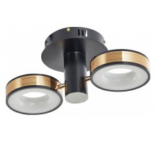 Светильник на штанге Arte Milano Ferrara-71040 271040/2R BK/GD