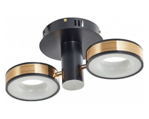 Светильник на штанге Arte Milano Ferrara-71040 271040/2R BK/GD