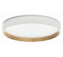 Накладной светильник Citilux Etalon 