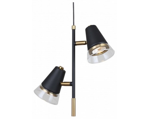 Подвесной светильник F-promo Trandy 4618-2P Подвесной светильник F-promo Trandy 4618-2P