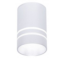 Накладной светильник Ambrella Light TN TN236