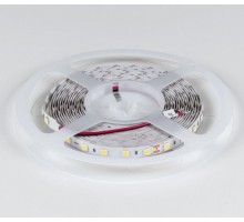 Лента светодиодная DesignLed DSG560 00-00000520