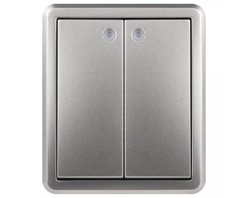 Выключатель двухклавишный с подсветкой Эра Эра Эксперт 11-1205-03