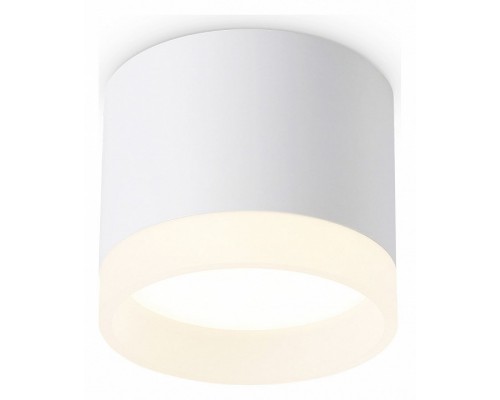 Накладной светильник Ambrella Light TN TN5365 Накладной светильник Ambrella Light TN TN5365