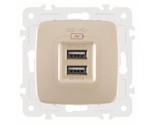 Розетка USB, без рамки Arte Milano am-205 205.46-1.shampan Розетка USB, без рамки Arte Milano am-205 205.46-1.shampan