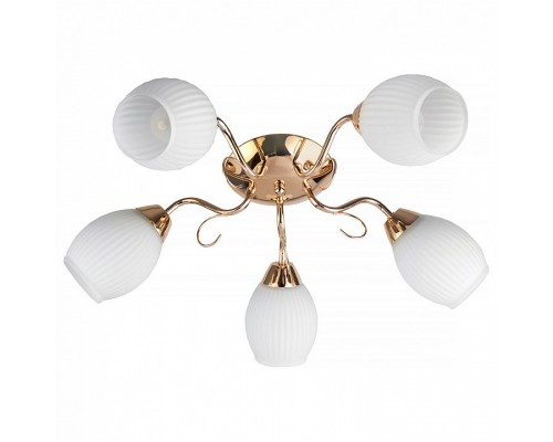 Потолочная люстра TopLight Kristin TL3520X-05FG Потолочная люстра TopLight Kristin TL3520X-05FG