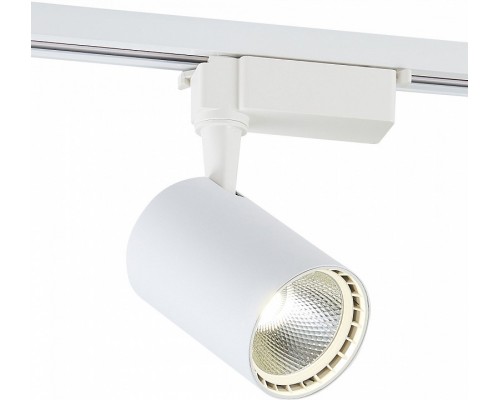 Светильник на штанге SIMPLE STORY 2002 2010-LED10TRW Светильник на штанге SIMPLE STORY 2002 2010-LED10TRW