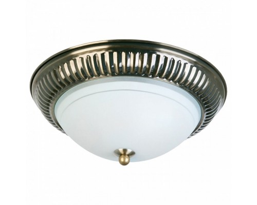 Накладной светильник TopLight Dora TL5040Y-02AB