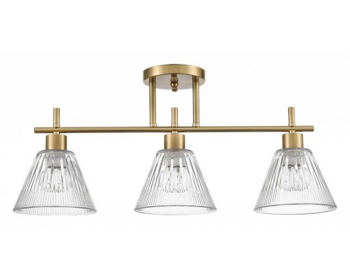Светильник на штанге Lumion Vivian 8188/3C