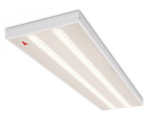 Светильник для потолка Армстронг WoltaPRO ОФИС ДВО01-36-142-4К-90