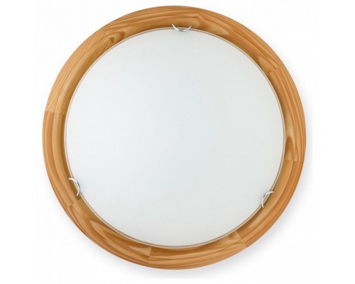 Накладной светильник TopLight Hillary TL9023Y-02PN Накладной светильник TopLight Hillary TL9023Y-02PN