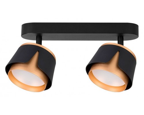 Спот Arte Lamp Amaks A8028PL-2BK Спот Arte Lamp Amaks A8028PL-2BK