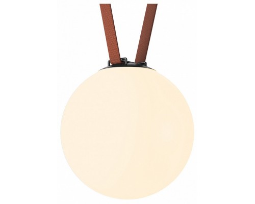 Накладной светильник Denkirs Belty Orb DK5555-BK Накладной светильник Denkirs Belty Orb DK5555-BK