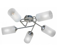 Потолочная люстра Vitaluce  V4909-9/5PL