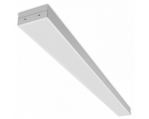 Накладной светильник WoltaPRO Лайнер ДПО01-36-203-4К