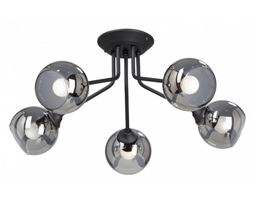 Потолочная люстра Vitaluce V4724-1/5PL Потолочная люстра Vitaluce V4724-1/5PL
