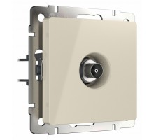 ТВ-розетка без рамки Werkel слоновая кость W1183003