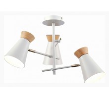 Потолочная люстра EVOLUCE Alfeo SLE1252-502-03