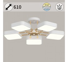 Люстра на штанге 03362-0.3-05 WH+FGD