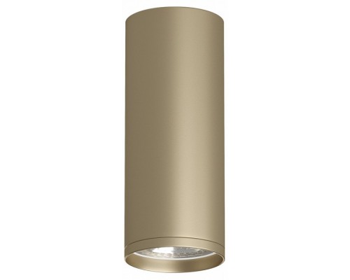 Накладной светильник Denkirs TUBE DK2051-SG