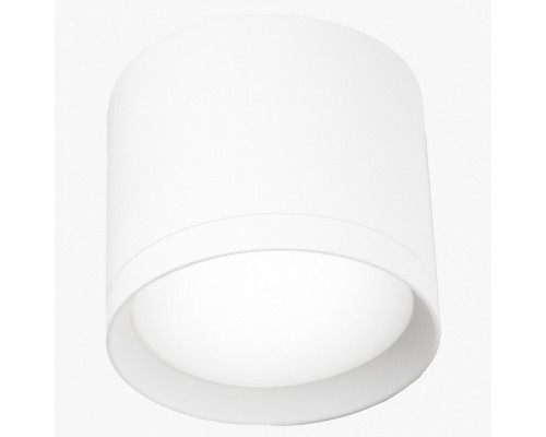 Накладной светильник LEDS POWER SPOT 009360