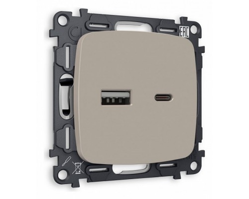 Розетка 2хUSB type A и C без рамки Ambrella Volt Quant MO371010 Розетка 2хUSB type A и C без рамки Ambrella Volt Quant MO371010