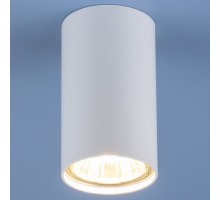 Накладной светильник Elektrostandard 1081 a037712