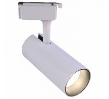Светильник на штанге Эра  TR5-10 COB WH
