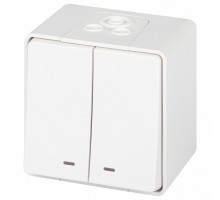 Выключатель двухклавишный с подсветкой Эра Эра Эксперт 11-1505-01