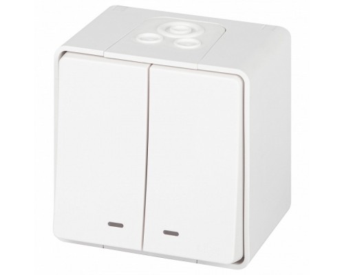 Выключатель двухклавишный с подсветкой Эра Эра Эксперт 11-1505-01