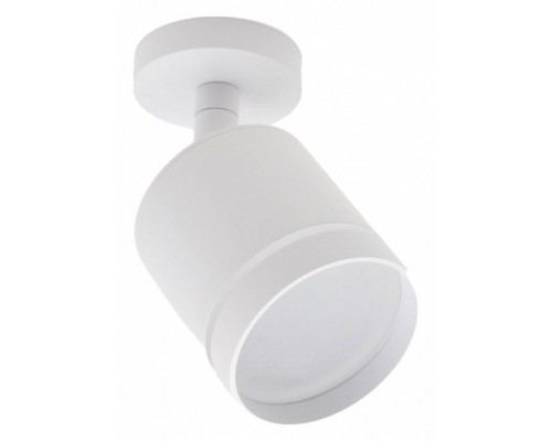 Спот Escada 20009 20009SMA/02LED SWH Спот Escada 20009 20009SMA/02LED SWH