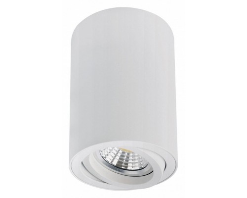 Накладной светильник Arte Lamp Sentry A1566PL-1WH Накладной светильник Arte Lamp Sentry A1566PL-1WH